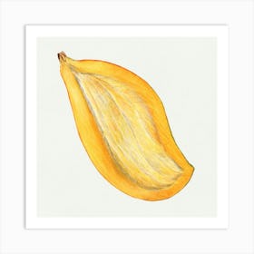 Ripe Papaya Art Print