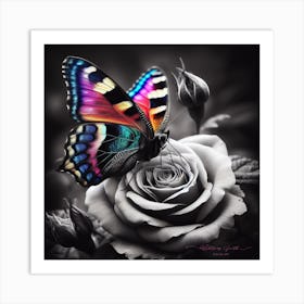 Butterfly On Rose Art Print