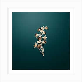 Gold Botanical Shewy Delphinium Flower on Dark Teal n.4932 Art Print