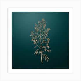 Gold Botanical Madeira Wormwood on Dark Teal n.3949 Art Print