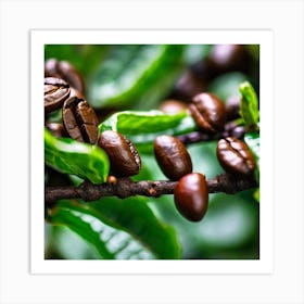 Coffee Beans On A Branch Art Print