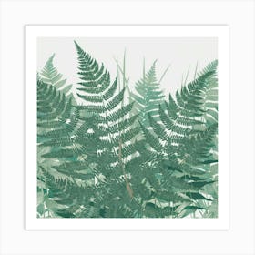 Ferns 22 Art Print