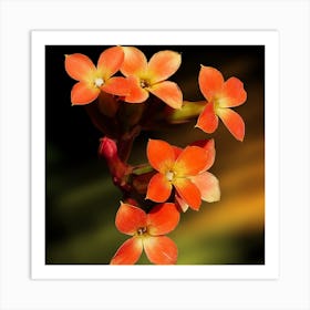 Orange Flowers 1 Art Print