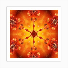 Psychedelic Shamanic Mandala Art Print