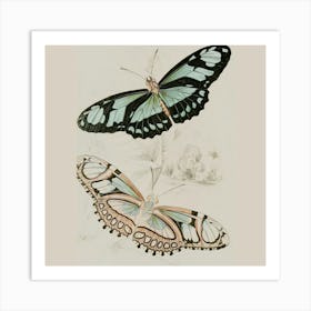 Butterflies In Flight Art Print