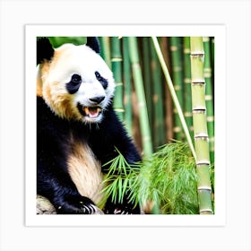 Panda Bear 11 Art Print