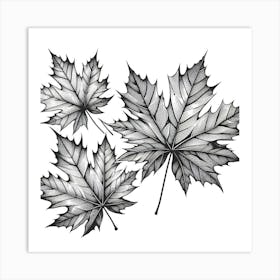 Line Art maple leaves 3 Art Print