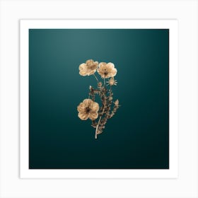 Gold Botanical Long Stalked Ledocarpum on Dark Teal n.4158 Art Print