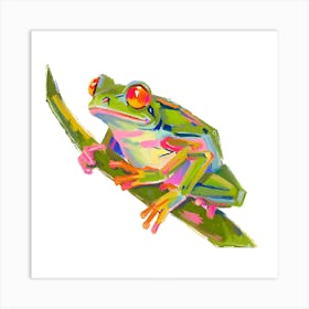 Red Eyed Tree Frog 08 Art Print