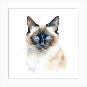 Snowshoe Cat Portrait 1 Art Print