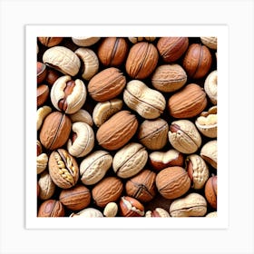 Walnuts And Hazelnuts Art Print