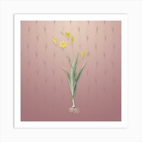 Vintage Ixia Bulbifera Botanical on Dusty Pink Pattern n.2206 Art Print