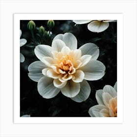 White Dahlia Flower Art Print