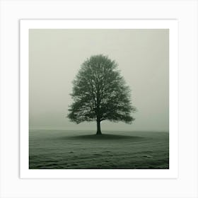 Lone Tree In The Fog 1 Art Print