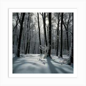 Winter Forest 1 Art Print