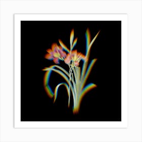 Prism Shift Orange Day Lily Botanical Illustration on Black n.0158 Art Print