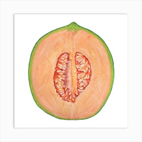 Cantaloupe Melon Square Art Print