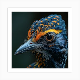 Bird, Close Up, Close Up, Bird Art Print