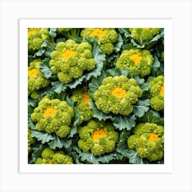 Florets Of Broccoli 6 Art Print