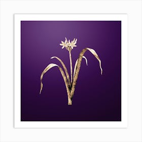 Gold Botanical Small Flowered Pancratium on Royal Purple n.4637 Art Print