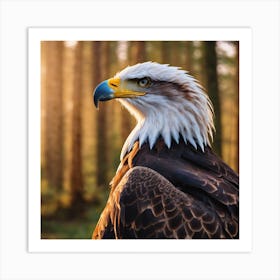 Bald Eagle Art Print