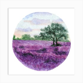 Lavender Field Art Print