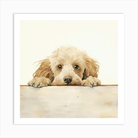 Poodle Dog 3 Art Print