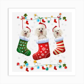 Poodle Christmas Socks Funny Xmas Pajama Dog Lover Art Print