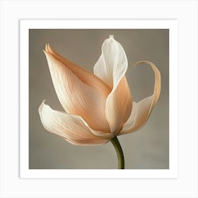 Lotus Flower Art Print