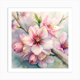 Blossoming Cherry Blossoms Art Print