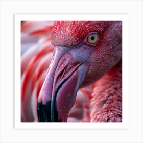 Flamingo 23 Art Print