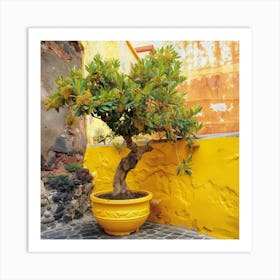 Olive Tree In Yellow (I) Art Print