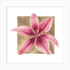 Pink Lily Gold Frame Art Print