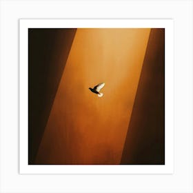 Dove In Flight 1 Art Print