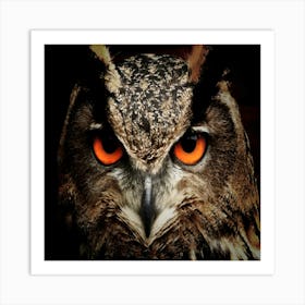 Owl With Orange Eyes Art Print