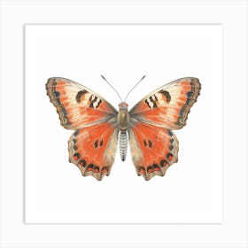 Butterfly 20 Art Print