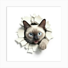 Siamese Cat Art Print