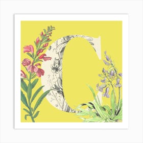 Botanical C Art Print