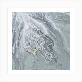 Mt Hood Meadows Art Print