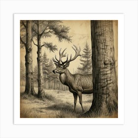 Deer In The Woods 17 Art Print