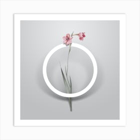 Vintage Sword Lily Minimalist Flower Geometric Circle on Soft Gray n.0031 Art Print