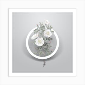 Vintage White Burnet Roses Minimalist Botanical Geometric Circle on Soft Gray n.0327 Art Print