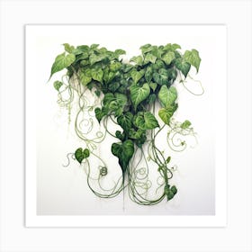 Ivy Plant Art Print