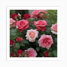 Roses Art Print