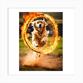 Golden Retriever Jumping Ring Art Print