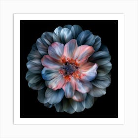 Macro Fl On Blk 3 Art Print