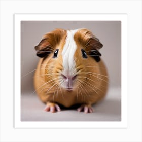 Guinea Pig 1 Art Print