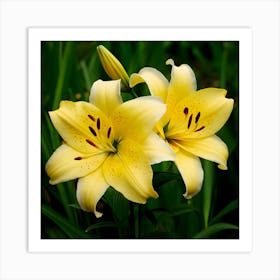 Yellow Lily Art Print