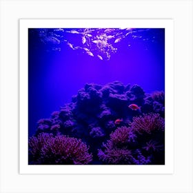 Underwater Coral Reef 4 Poster