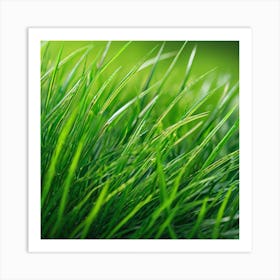 Green Grass 33 Art Print